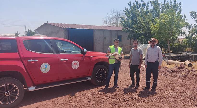 Urfa'da bitkin halde bulunan yavru leylek tedaviye alındı