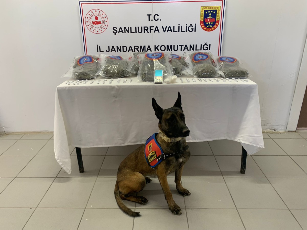 Şanlıurfa'da uyuşturucu operasyonu;
