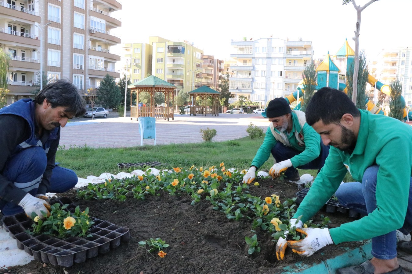 Haliliye'de Peyzaj Çalışmaları ile Parklar Yenileniyor;